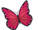 Schmetterling